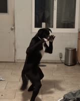 2435