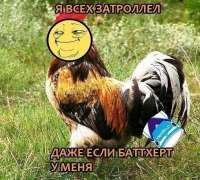 95