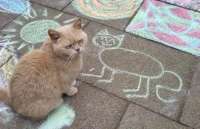 93