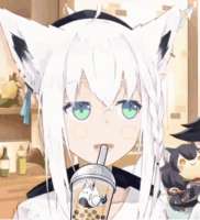 3030