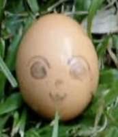 1152