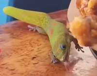 374