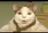 3033