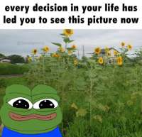 134