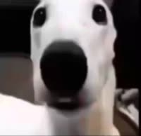 214
