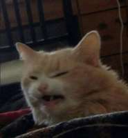 206