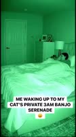 730