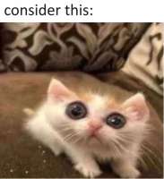80