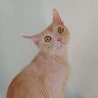 173