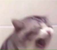 123