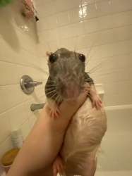136