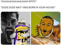 790