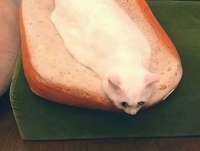 104