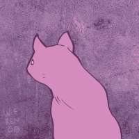 710