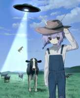 3336