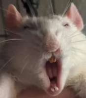124