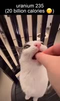 6015