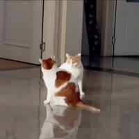 471