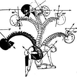 124