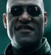 42