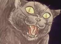 155
