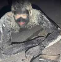 181